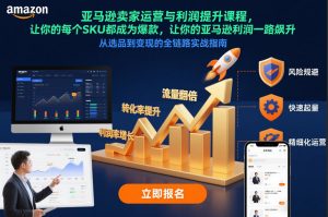 亚马逊卖家运营与利润提升课程，让你的每个SKU都成为爆款，让你的亚马逊利润一路飙升(更新12月)-游客之家
