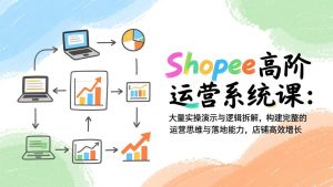 Shopee高阶运营系统课：大量实操演示与逻辑拆解，构建完整的运营思维与落地能力，店铺高效增长-游客之家