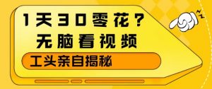 1天30零花？无脑看视频，大佬亲自揭秘-游客之家