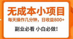 无成本小项目 每天操作几分钟，真实日收益800+ 副业必看 小白必做！-游客之家