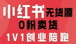 小红书无货源0粉电商课，开店准备、选品策略、笔记撰写、视频剪辑、数据分析、账号打造、资料文档(更新26年1月)-游客之家