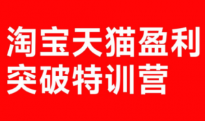 玺承·淘宝天猫盈利突破特训营(25年12月线下课)【音频+字幕】-游客之家