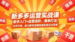 拼多多运营实战课，新手入门+运营进阶、爆单打法，16节干货，助力新手店铺快速实现日出百单-游客之家