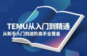 TEMU从入门到精通，从新手入门到进阶高手全覆盖-游客之家