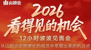 波波·2026看得见的机会12小时波波见面会(东莞线下课2月1日)-游客之家