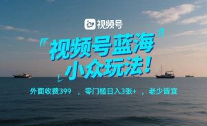 视频号蓝海小众玩法！外面收费399，零门槛日入3张+，老少皆宜-游客之家