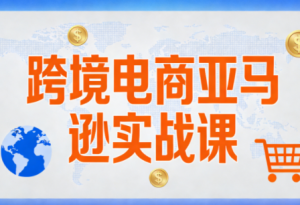丝丝老师·跨境电商亚马逊实战课(更新2月)-游客之家