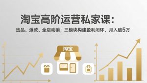 淘宝高阶运营私家课：选品、爆款、全店动销，三模块构建盈利闭环，月入破5万(更新26年2月-游客之家