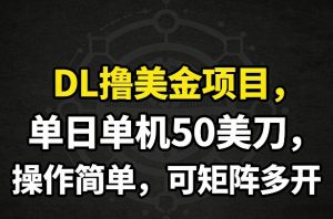 DL撸美金项目，单日单机50美刀，操作简单，可矩阵多开-游客之家