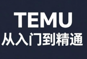 跨境麦冬·TEMU从入门到精通-游客之家