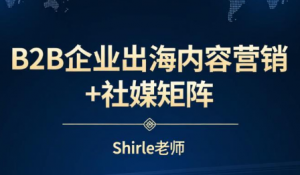 shirle老师·B2B企业出海内容营销+社媒矩阵-游客之家