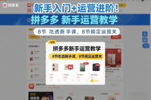 新手入门+运营进阶！拼多多新手运营教学，8节吃透新手课，8节搞定运营关-游客之家