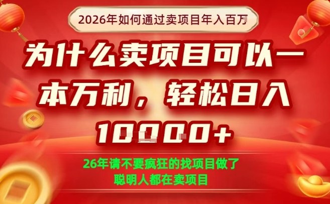一单净利润1K+，26年想年入100个W，死磕卖项目就够了【揭秘】-游客之家