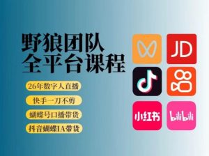 野狼团队2026新版全平台短视频带货教学，打开流量突破口，开始Ai带货(更新26年3月)-游客之家