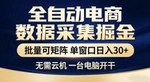 独家电商数据全自动采集项目，批量可矩阵，单窗口轻松日入3张+【揭秘】-游客之家