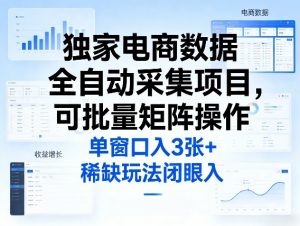 独家电商数据全自动采集项目，可批量矩阵操作，单窗口日入3张+，稀缺玩法闭眼入【揭秘】-游客之家