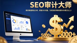 SEO审计大师：教你精通网站分析，修复SEO问题，为有效的审核收费5000美元以上！-游客之家