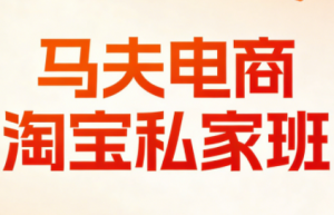 马夫电商·淘宝私家班(更新3月)-游客之家