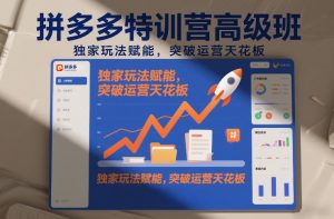 拼多多特训营高阶班，独家玩法赋能，突破运营天花板(更新26年3月)-游客之家