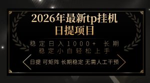 2026年最新tp挂机日提项目：稳定日入1000+小白轻松上手-游客之家