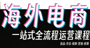 Demo老师·东南亚5国TikTok Shop运营课-游客之家