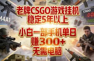 老牌CSGO游戏挂G，稳定5年以上，小白一部手机单日賺3张+，无需电脑【揭秘】-游客之家