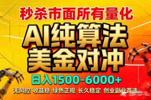 2026全网首发黑马项目，AI美金算法对冲，日入2000-6000+，稳定长效0风险，彻底告别996死工资-游客之家