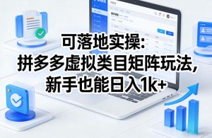可落地实操：拼多多虚拟类目矩阵玩法，新手也能日入1k+【揭秘】-游客之家