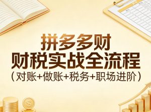 拼多多财税实战全流程(对账+做账+税务+职场进阶)-游客之家
