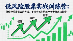 低风险股票实战训练营：低估分散排雷三箭齐发，手把手教你构建十年十倍永续组合-游客之家