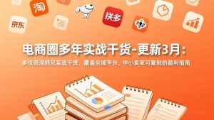 电商圈多年实战干货-更新3月：多位资深师兄实战干货，覆盖全域平台，中小卖家可复制的盈利指南-游客之家