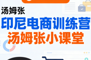 Jack老师·印尼电商训练营+汤姆张小课堂-游客之家