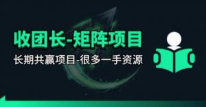 【团长合作】视频矩阵项目_招发手矩阵+剪辑师，共赢项目【揭秘】-游客之家