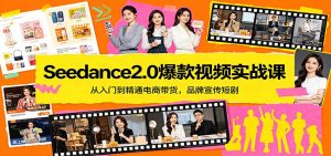 Seedance2.0爆款视频实战课:从入门到精通电商带货,品牌宣传短剧-游客之家