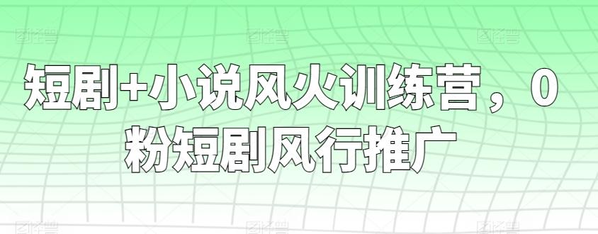 短剧+小说风火训练营，0粉短剧风行推广-游客之家