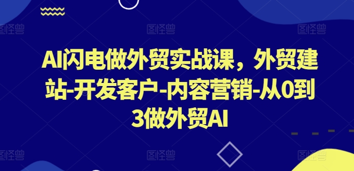 AI闪电做外贸实战课，​外贸建站-开发客户-内容营销-从0到3做外贸AI(更新)-游客之家