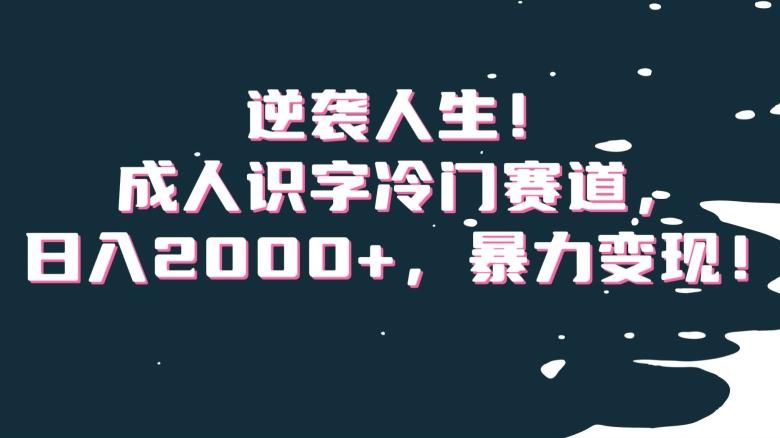逆袭人生！成人识字冷门赛道，日入2000+，暴力变现！【揭秘】-游客之家