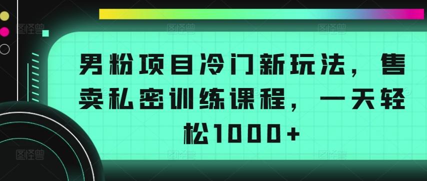男粉项目冷门新玩法，售卖私密训练课程，一天轻松1000+【揭秘】-游客之家