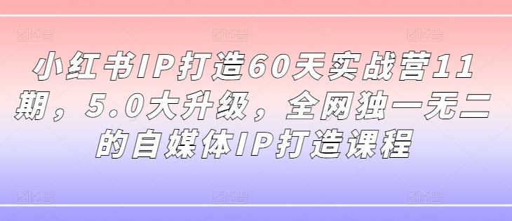 小红书IP打造60天实战营11期，5.0大升级，全网独一无二的自媒体IP打造课程-游客之家