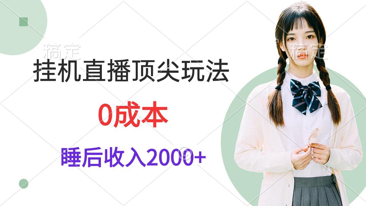 (9715期)挂机直播顶尖玩法，睡后日收入2000+、0成本，视频教学-游客之家