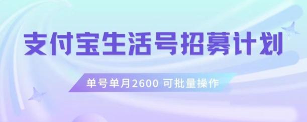支付宝生活号作者招募计划，单号单月2600，可批量去做，工作室一人一个月轻松1w+【揭秘】-游客之家