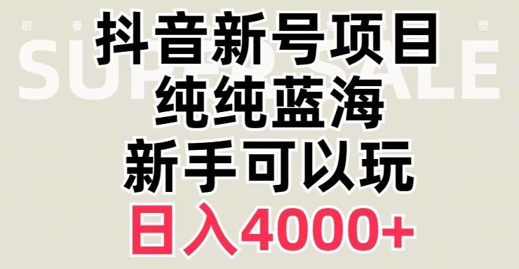 抖音蓝海赛道，必须是新账号，日入4000+【揭秘】-游客之家