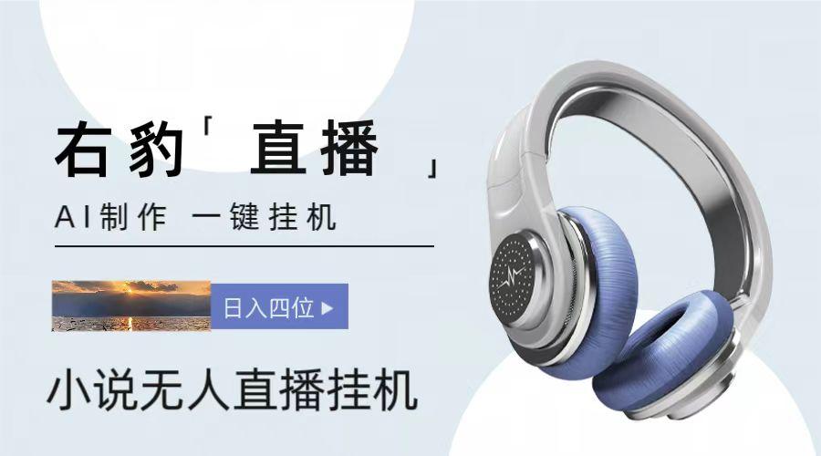 右豹小说无人直播挂机吸金项目，简单易行收益稳定， 月入1000+-游客之家