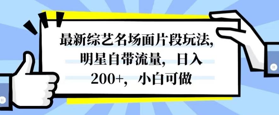 最新综艺名场面片段玩法，明星自带流量，日入200+，小白可做【揭秘】-游客之家