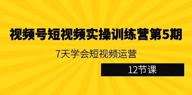 视频号短视频实操训练营第5期：7天学会短视频运营(12节课)-游客之家