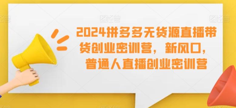 2024拼多多无货源直播带货创业密训营，新风口，普通人直播创业密训营-游客之家