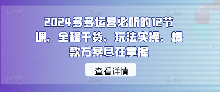 2024多多运营必听的12节课,全程干货,玩法实操,爆款方案尽在掌握-游客之家