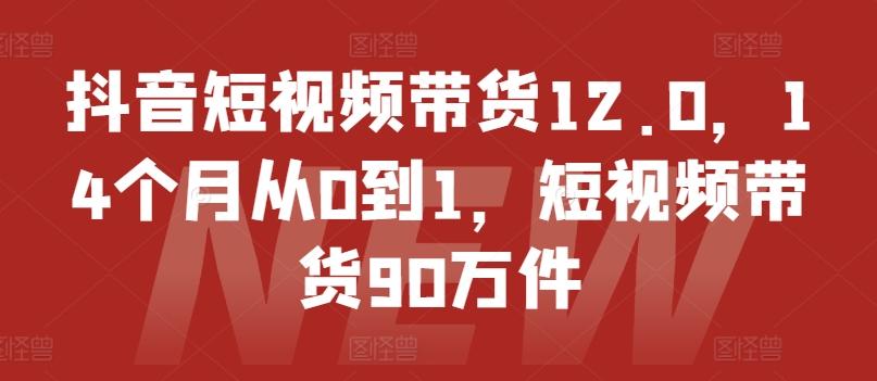 抖音短视频带货12.0，14个月从0到1，短视频带货90万件-游客之家