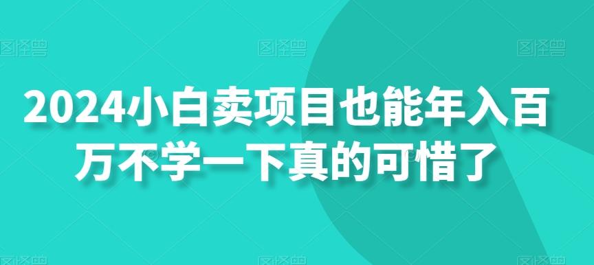 2024小白卖项目也能年入百万不学一下真的可惜了-游客之家