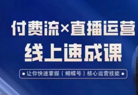 视频号付费流实操课程，付费流✖️直播运营速成课，让你快速掌握视频号核心运营技能-游客之家